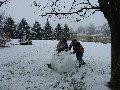 c029rollingthensnowball