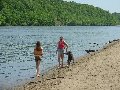 c120onthebeachwbrillo