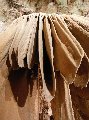 c170lurayformation1