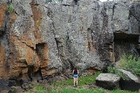 240tahliaatpetroglyphs