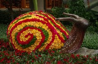 302bellagiosnail