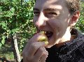 086mayaeatsapple