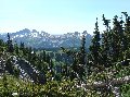 1054mtrainrscenicviewthrubranches