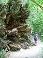 1065uprooted2mayamidget