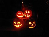 A happy pumpkin clan - I think they took this selfie.