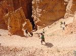 291hikingdownbryce