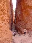294hikingdownbryce2