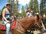 299judyonhorse