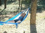 402amomhammock