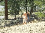 403amomandmayabrycecampsite