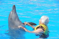 144mxsuzydolphindance