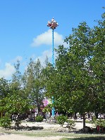 152mxpoledancers