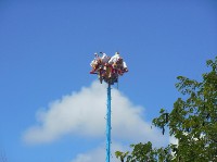 153mxpoledancers2