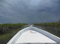 154mxmangrovesboat