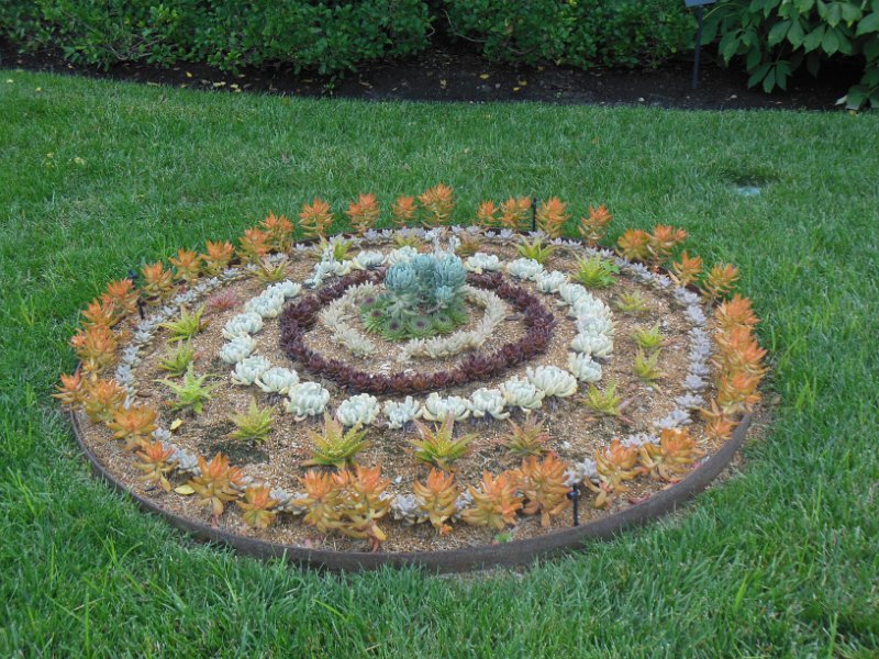 r00073succulentmandala3